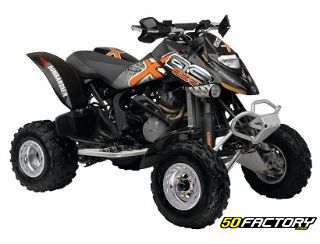 CAN AM DS 650